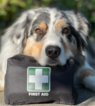 Load image into Gallery viewer, Pet First Aid Kit
