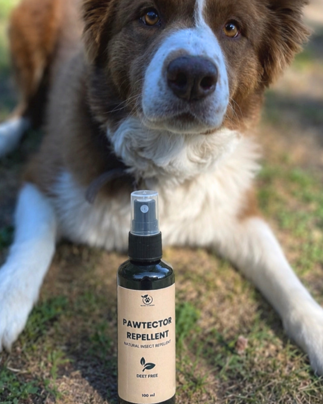 PawTector Repellent