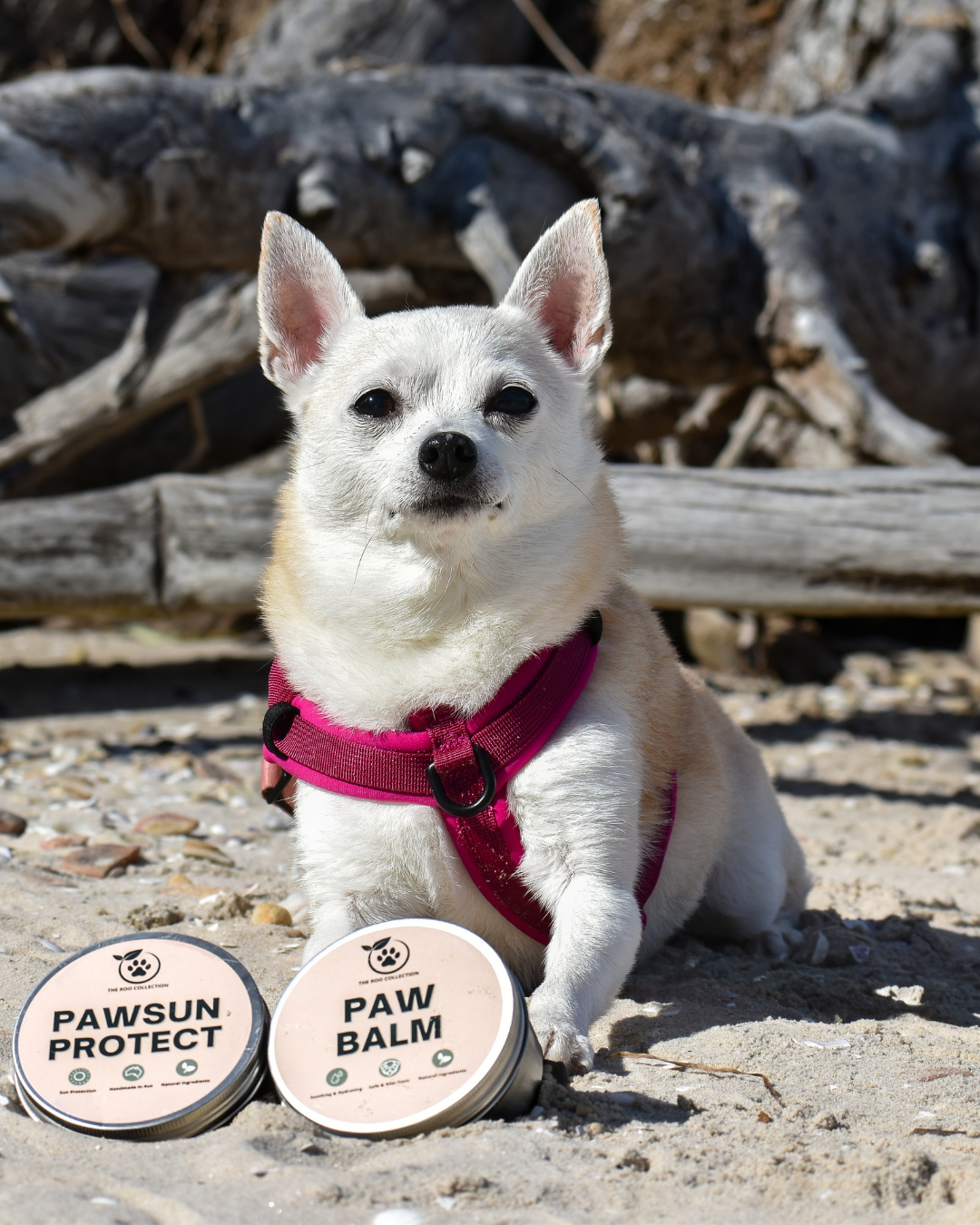 PawSun Protect