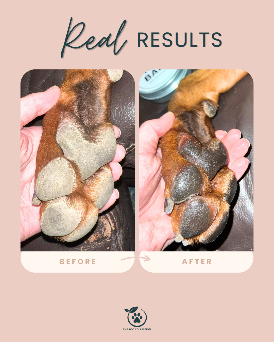 Paw Balm