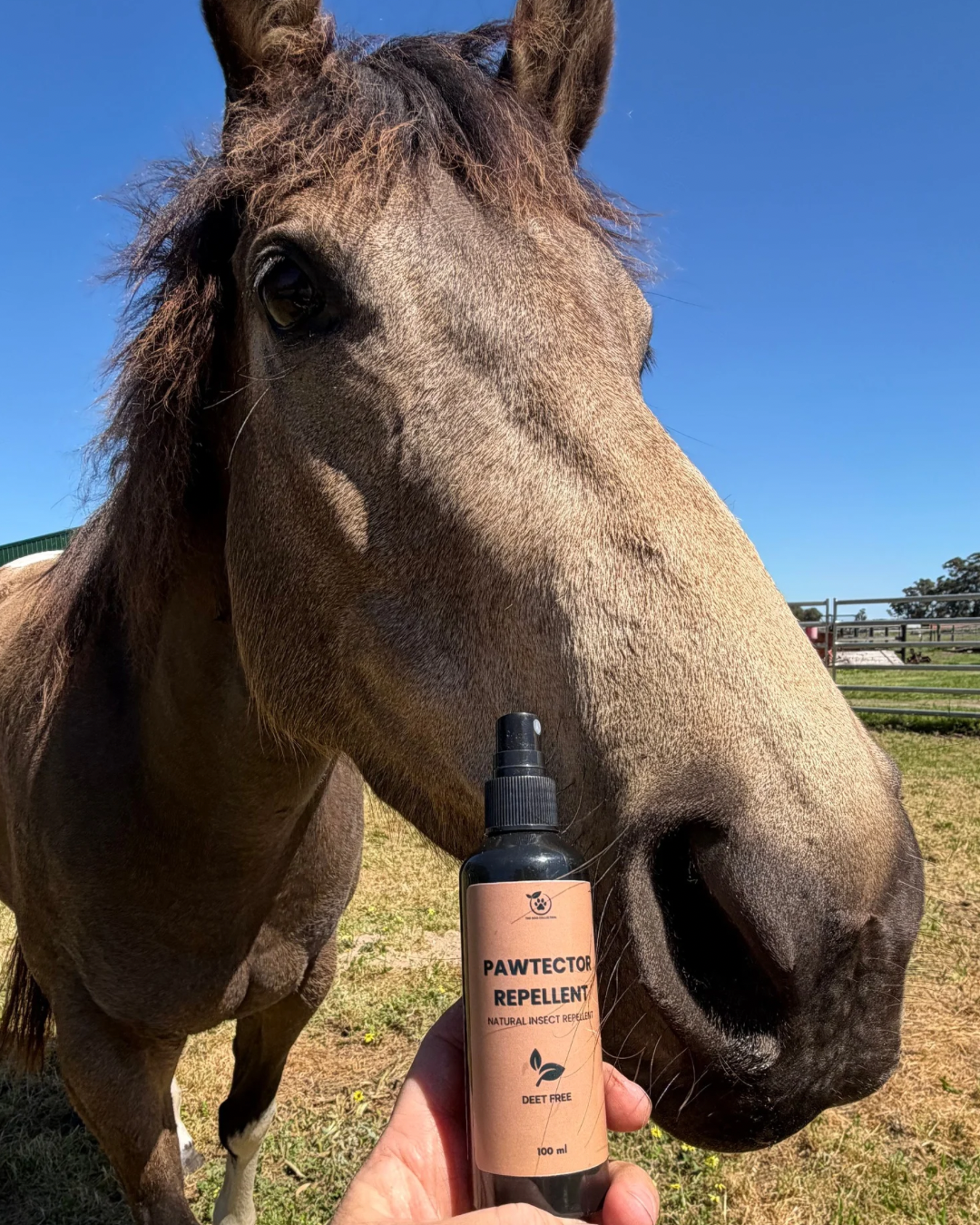 PawTector Repellent