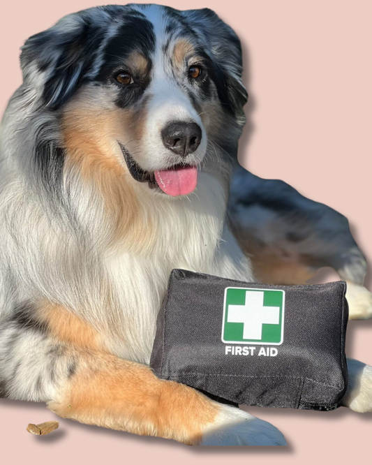 Pet First Aid Kit