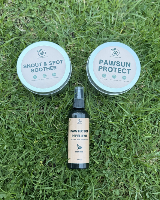 Aussie Adventure Pack