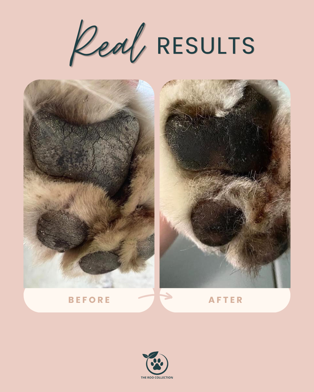 Paw Balm