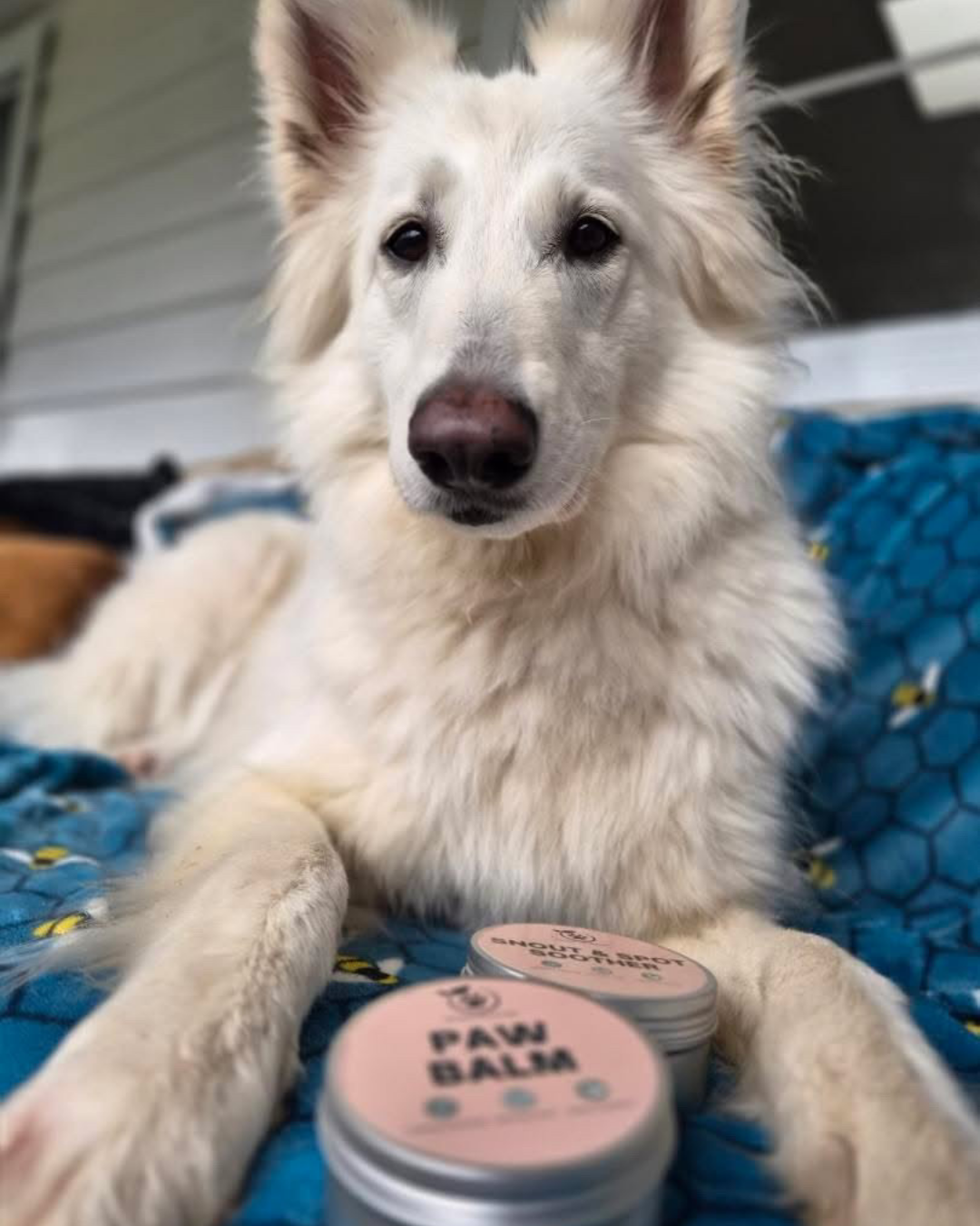 Paw Balm