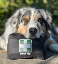 Load image into Gallery viewer, Pet First Aid Kit
