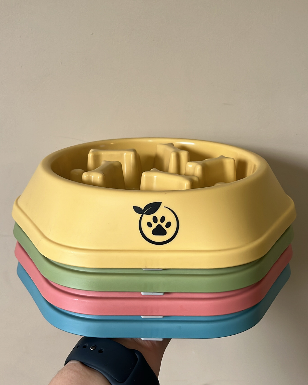 Slow Feeder Bowl