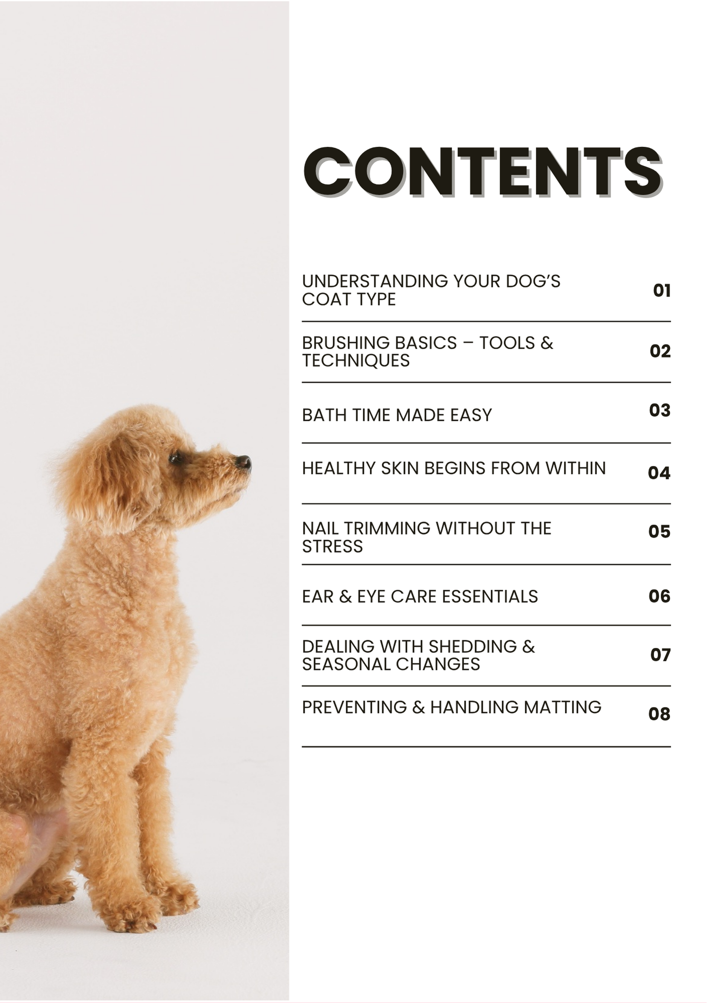 Healthy Coats & Happy Paws
