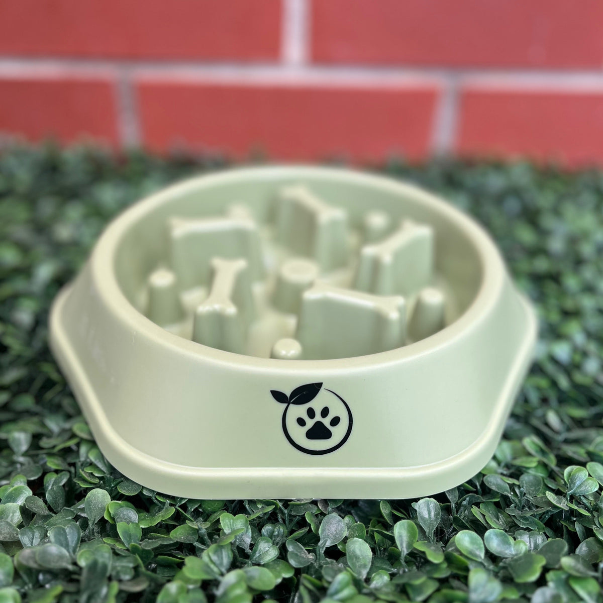 Slow Feeder Bowl
