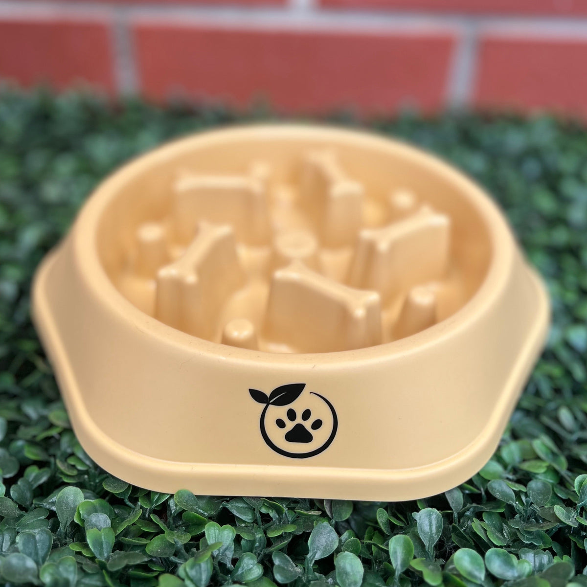 Slow Feeder Bowl