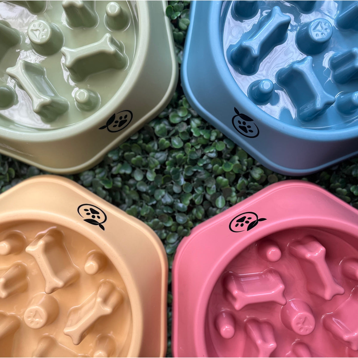 Slow Feeder Bowl