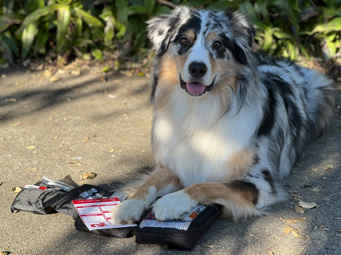 Pet First Aid Kit