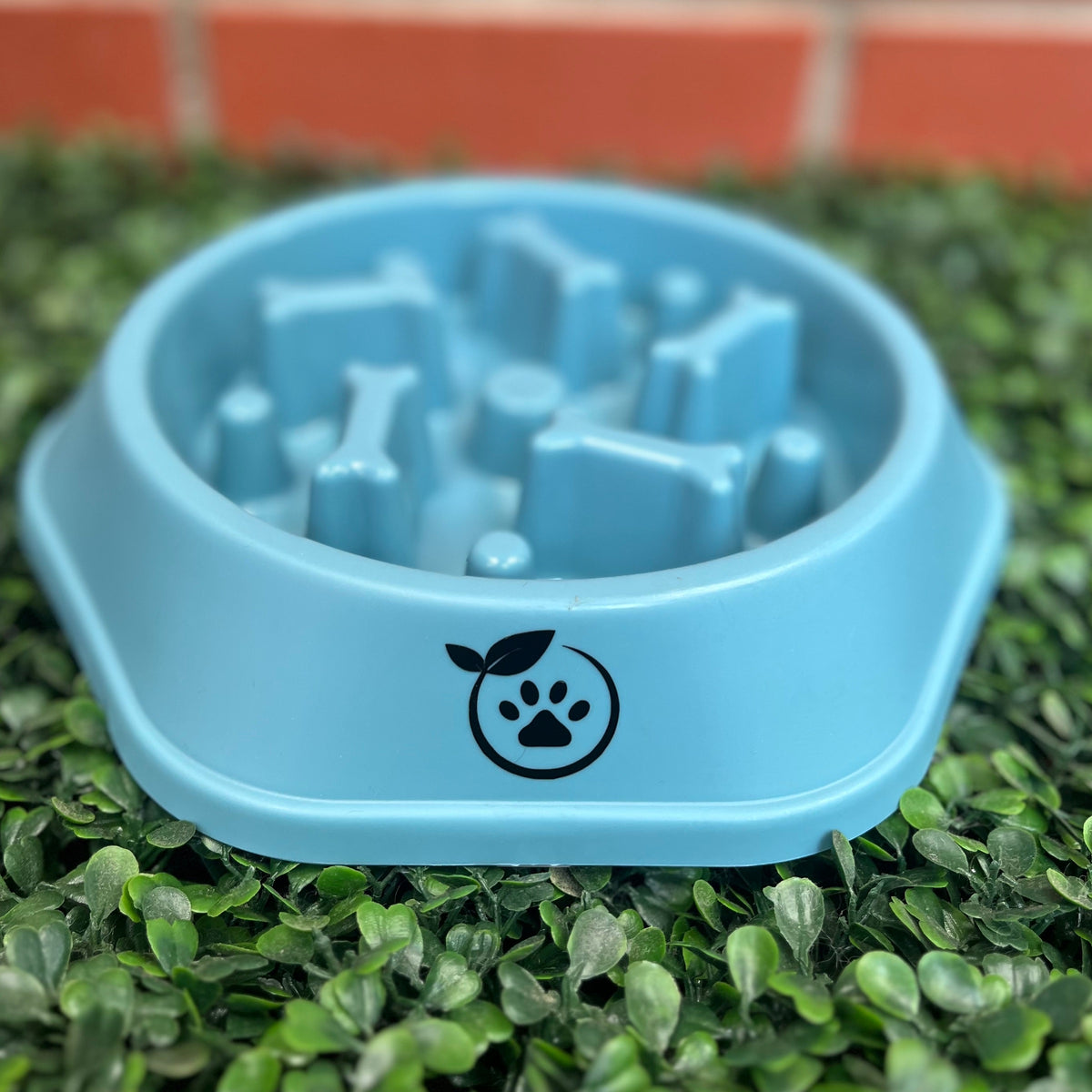 Slow Feeder Bowl