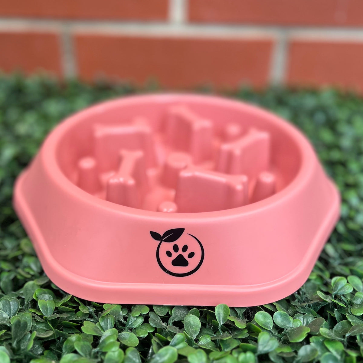 Slow Feeder Bowl