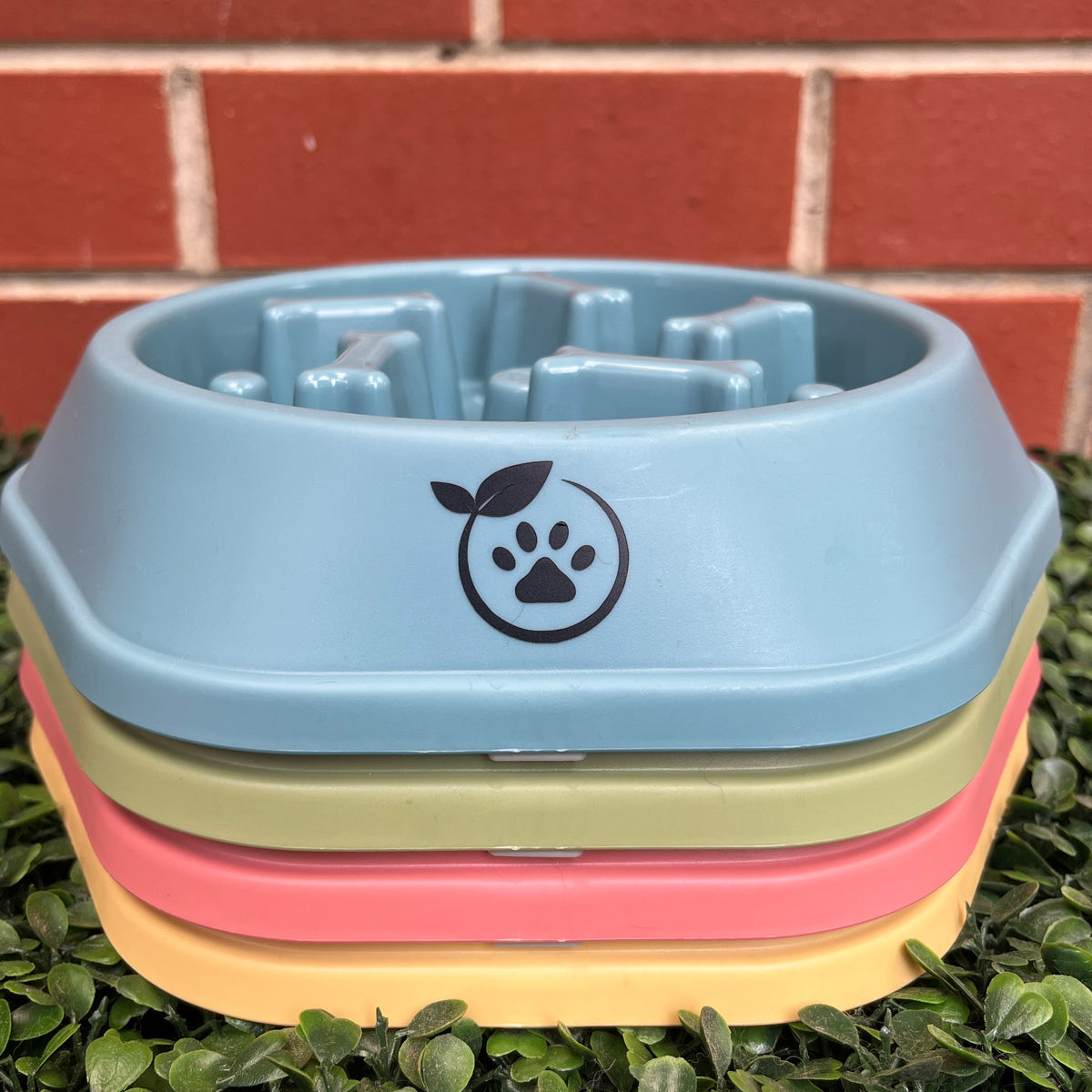 Slow Feeder Bowl